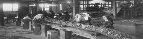 ARCHEOLOGIA INDUSTRIALE, VALORIZZAZIONE E DIFFUSIONE DEL PATRIMONIO GEOMINERARIO DI FUNTANA RAMINOSA – VENERDÌ 12 DICEMBRE – ORE 14.30 -18.30