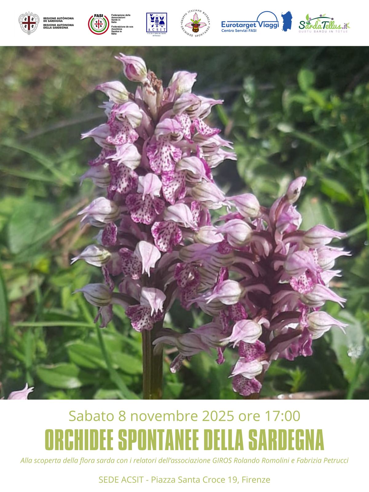 A Firenze viaggio alla scoperta delle “Orchidee spontanee della Sardegna”